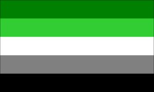 The Aromantic Pride Flag
