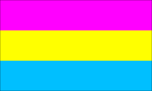 The Pansexual Pride Flag